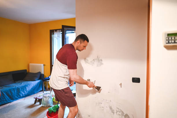 Best Mold Remediation for Specific Building Types in Searles Valley, CA